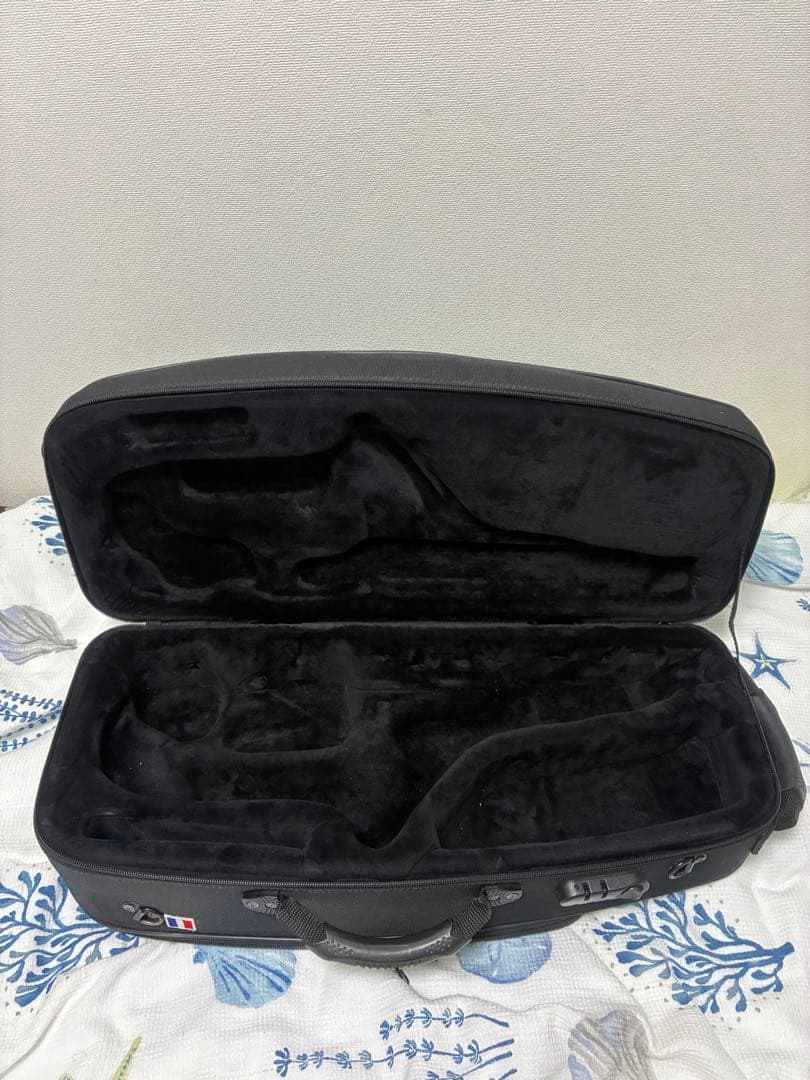 さ*し様 セルマーパリ　ライトケース　アルトサックス用　レインフードをお付けしま