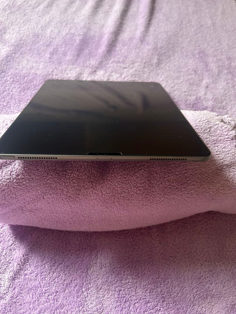 iPad pro 12.9 第3世代