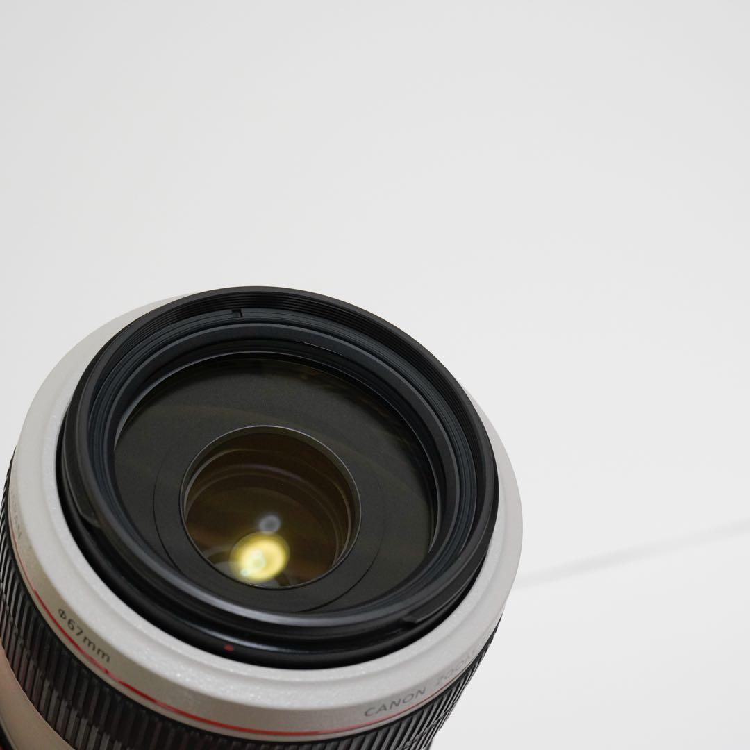 【三脚座付】EF70-300mm F4-5.6L IS USM｜L望遠ズーム