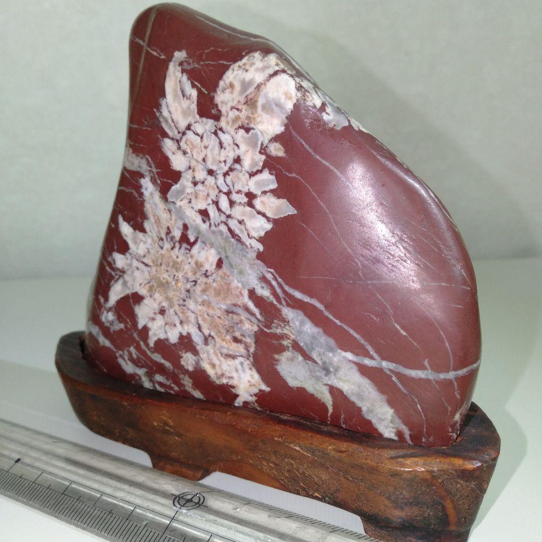 菊花石　水石　エーデルワイス　美麗台付き１個