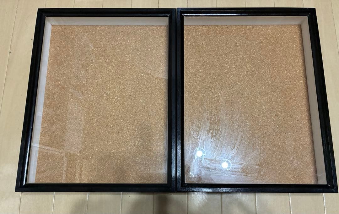 未使用　美品　中型　ドイツ箱　標本箱　５個セット　昆虫　　コルク