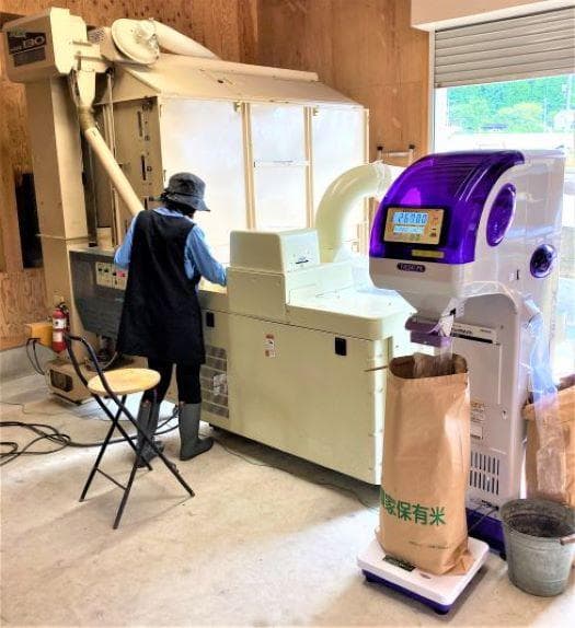 農家保有米 令和7年産 10キロ 玄米 コシヒカリ 10kg(5kg×2) 新米