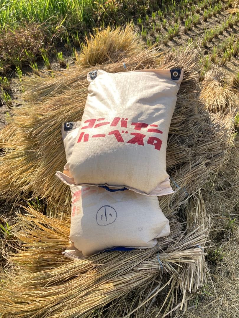 福島県産「天のつぶ」令和7年産新米 10kg 天日干し（棒掛け）