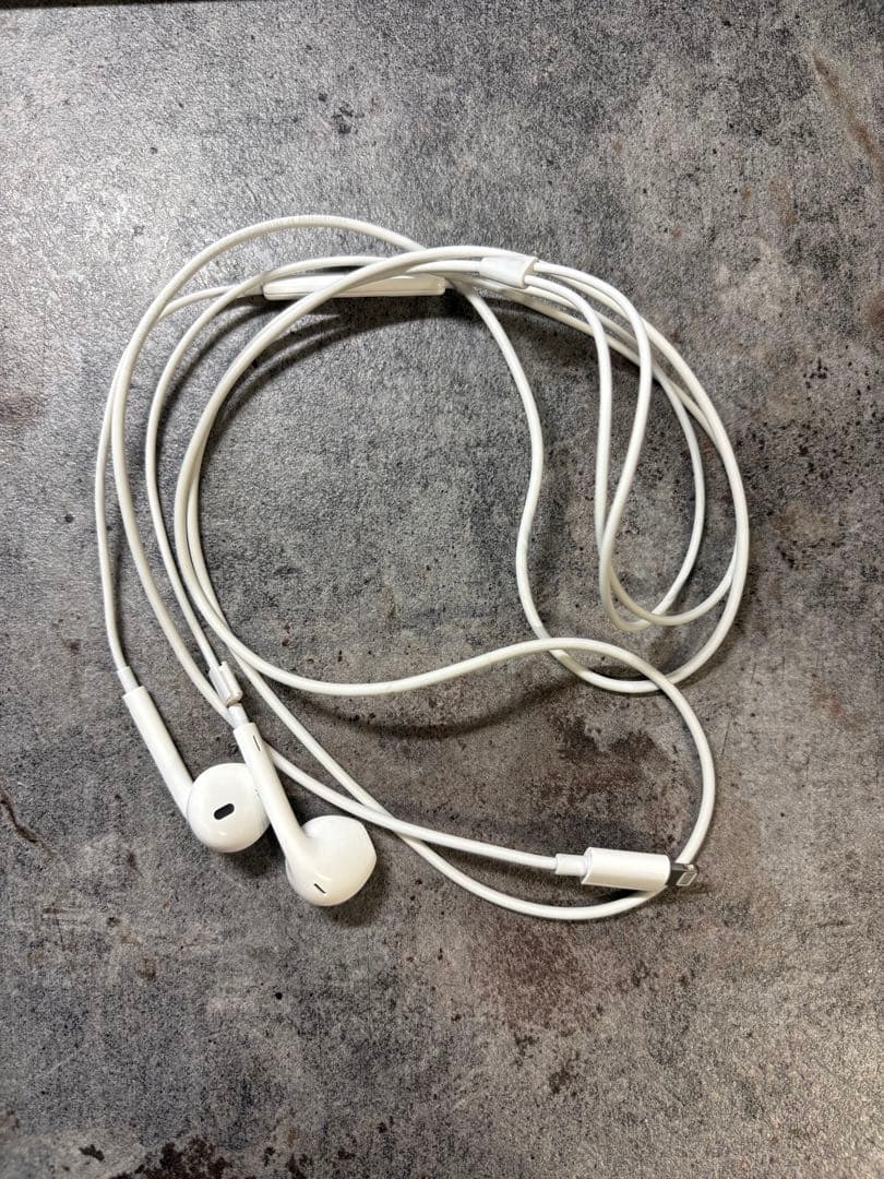 Apple iPhone SE 第二世代 ホワイト イヤフォン付き