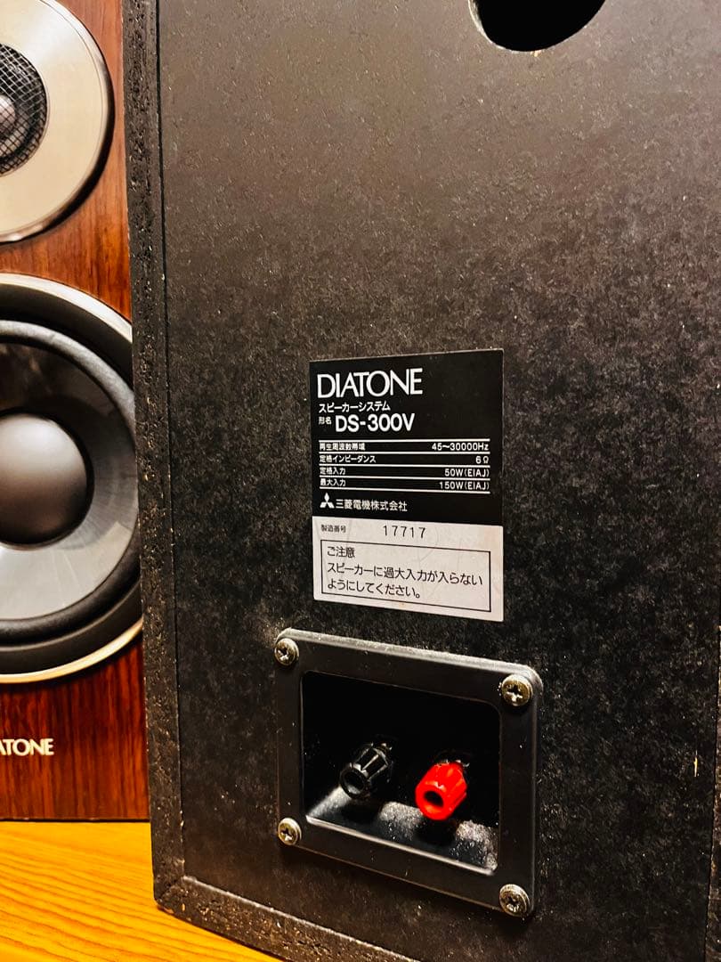 スピーカー・ウーファー DIATONE DS-300V
