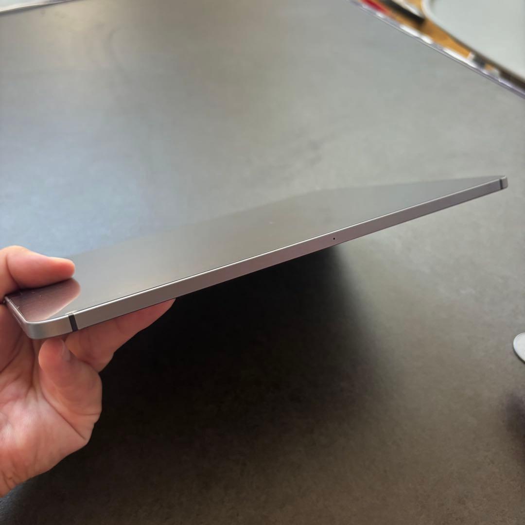 iPad Pro11インチ256 セルラーSIMフリーApple Pencil