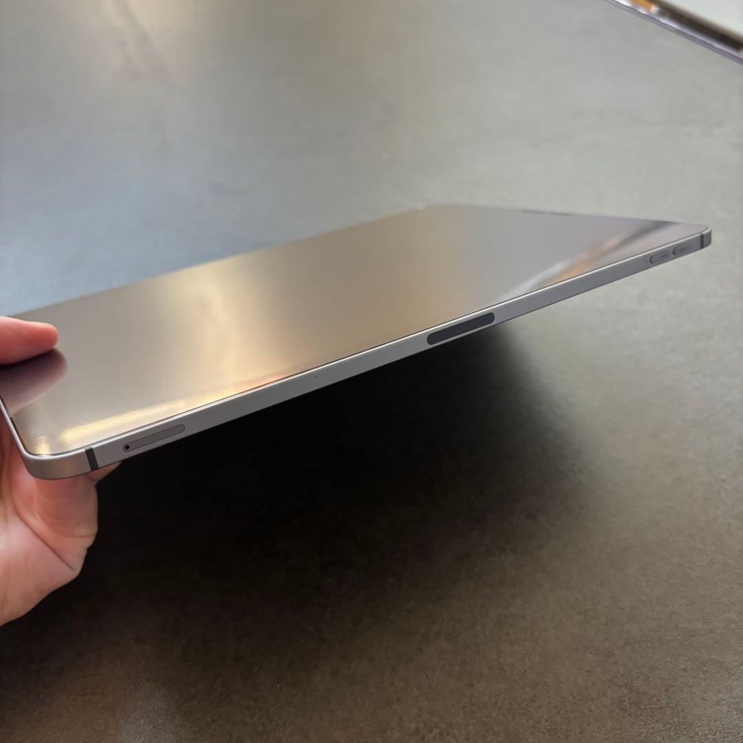 iPad Pro11インチ256 セルラーSIMフリーApple Pencil