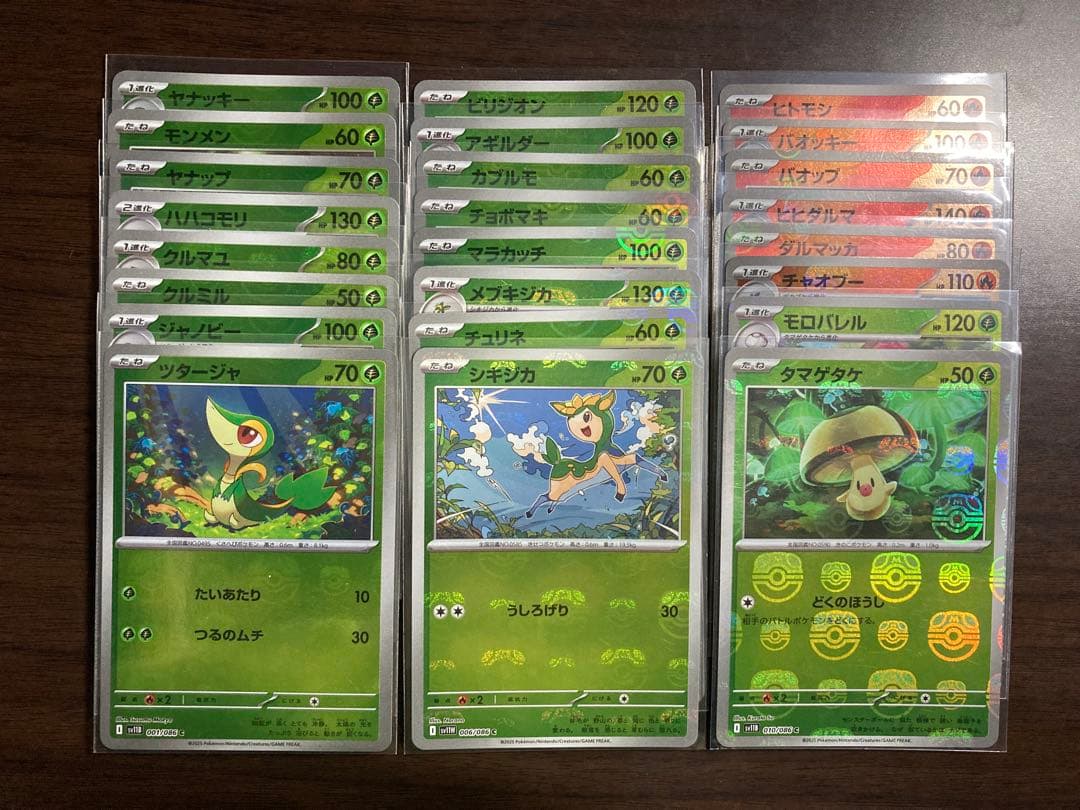 マスボミラー　80枚　被りなし　ブラックボルト　ホワイトフレア