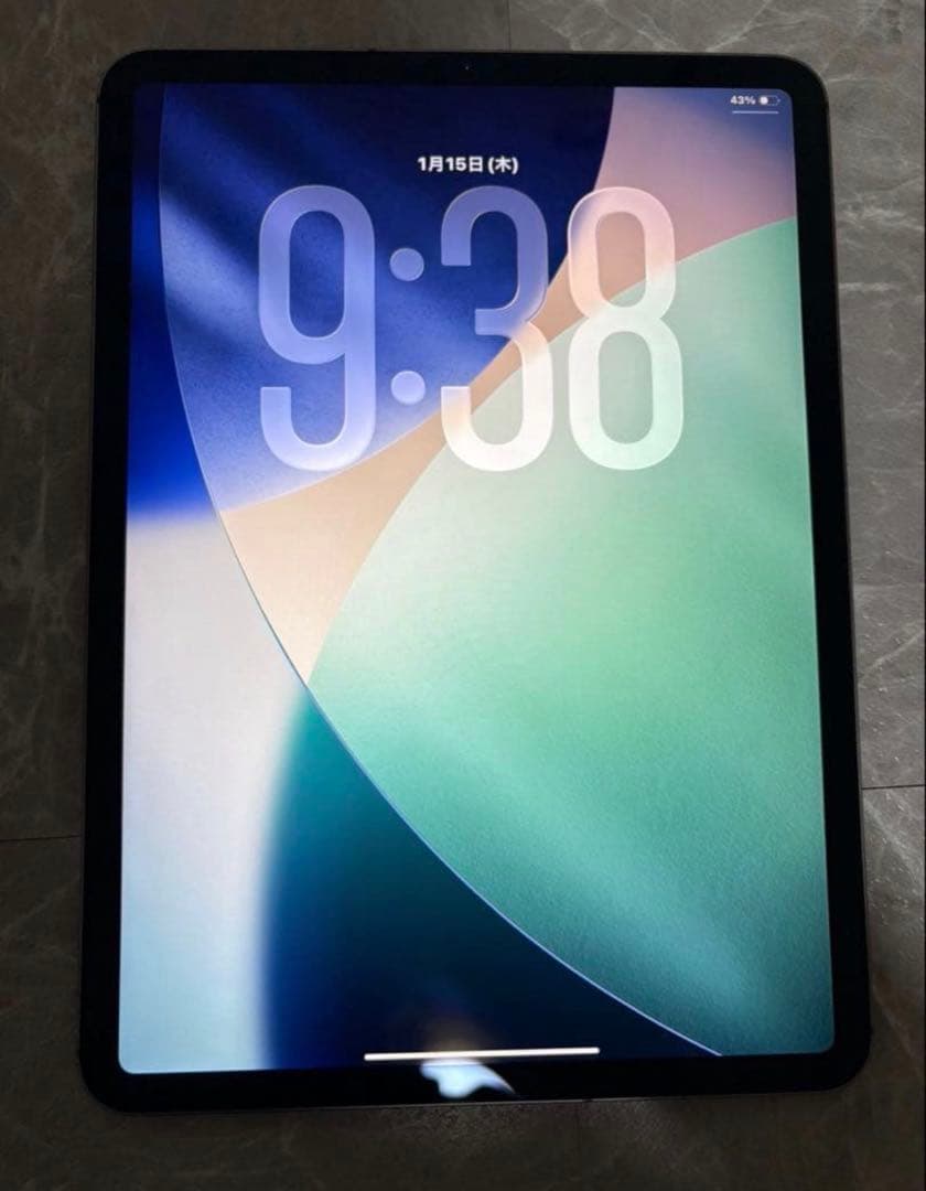 iPad Pro11インチ第1世代 Wi-Fi+Cellular 容量88%