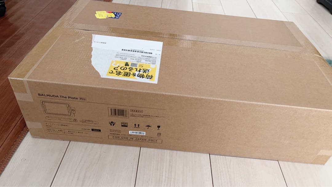 バルミューダ ザ・プレート プロ ホットプレート