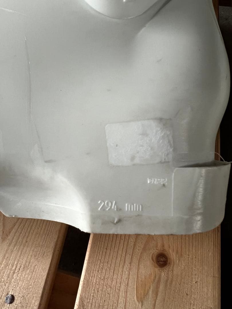 HEAD スキーブーツ　RAPTOR WCR5SC