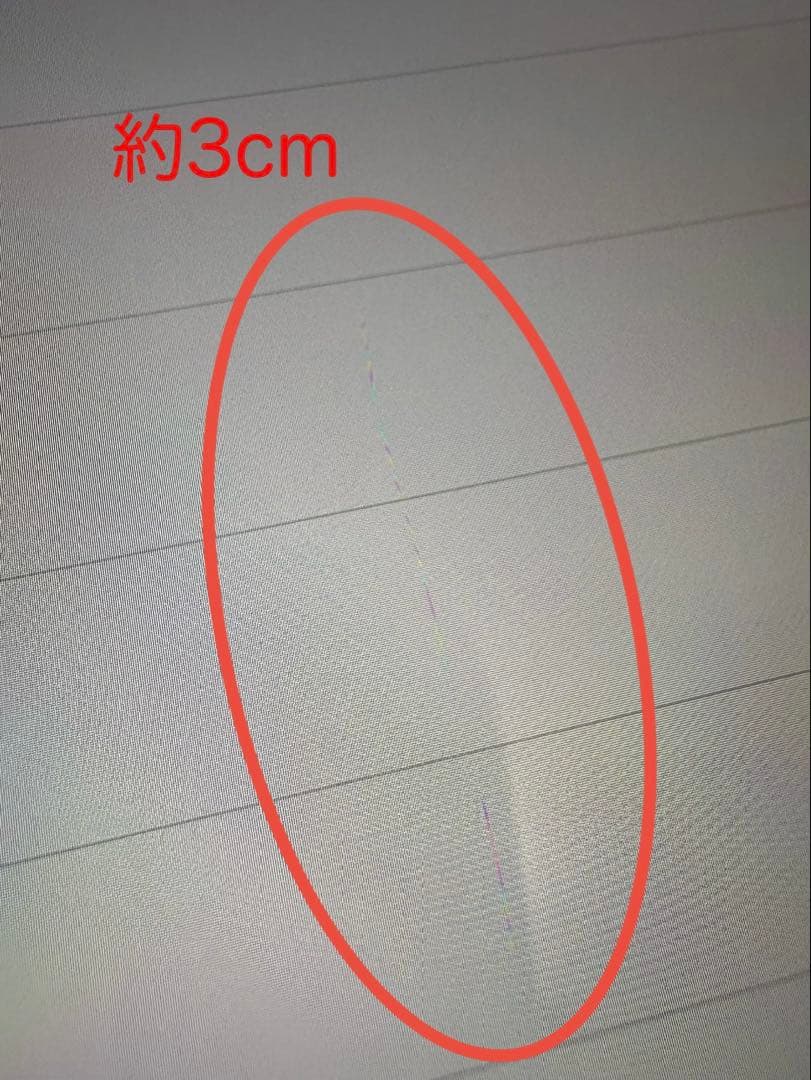 【箱・カバー有】iPad mini 6 パープル 256GB セルラー モデル