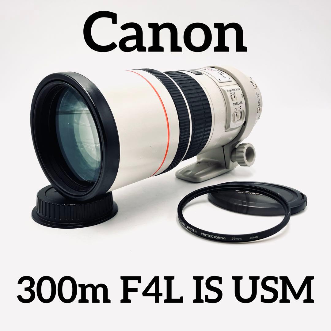 レンズ(単焦点) Canon EF 300mm F4 L USM