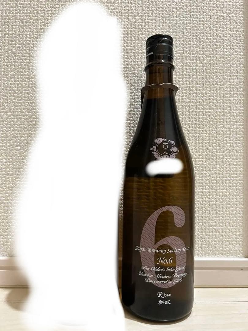 新政　No.6 R-type