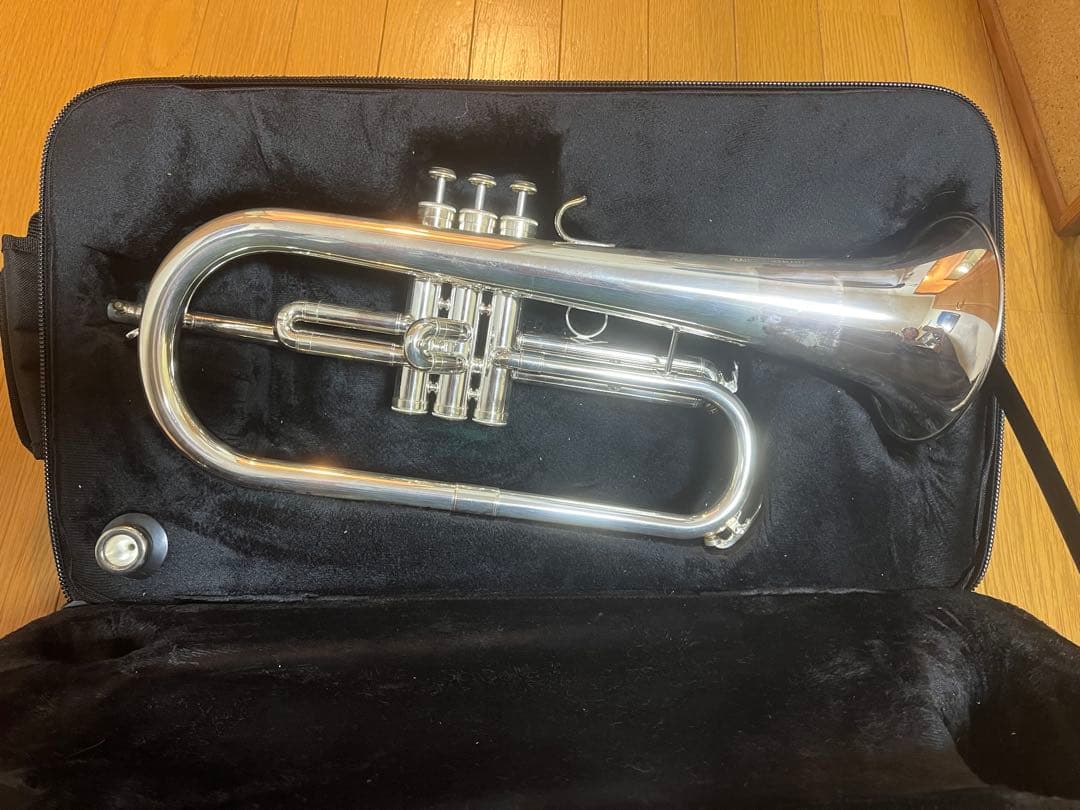 フリューゲルホルン