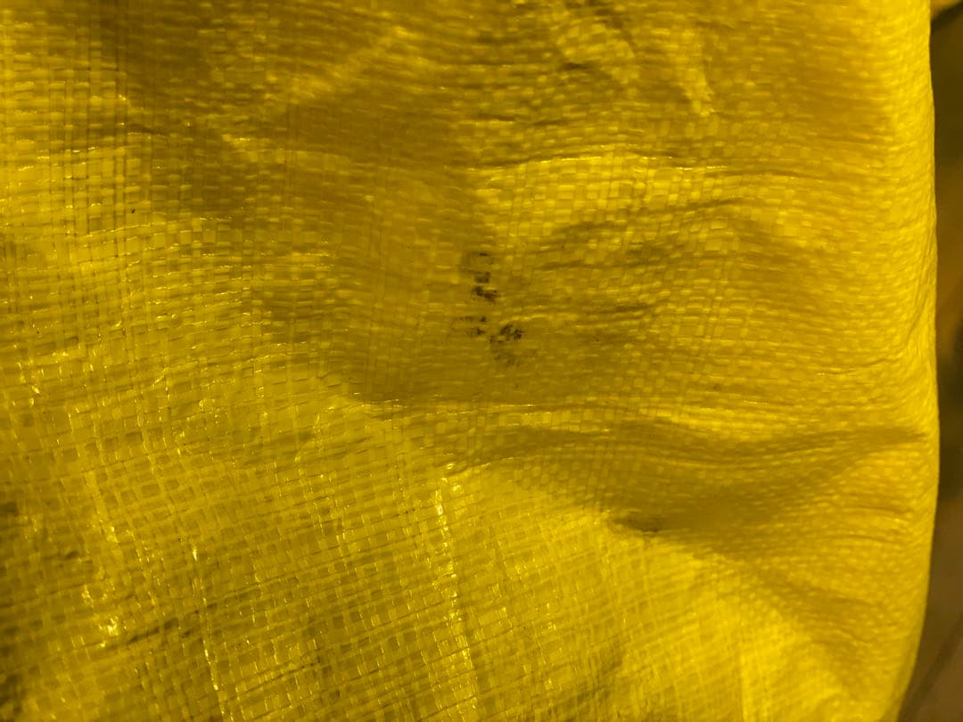 Mizuno スキーバッグ 80L ブラック