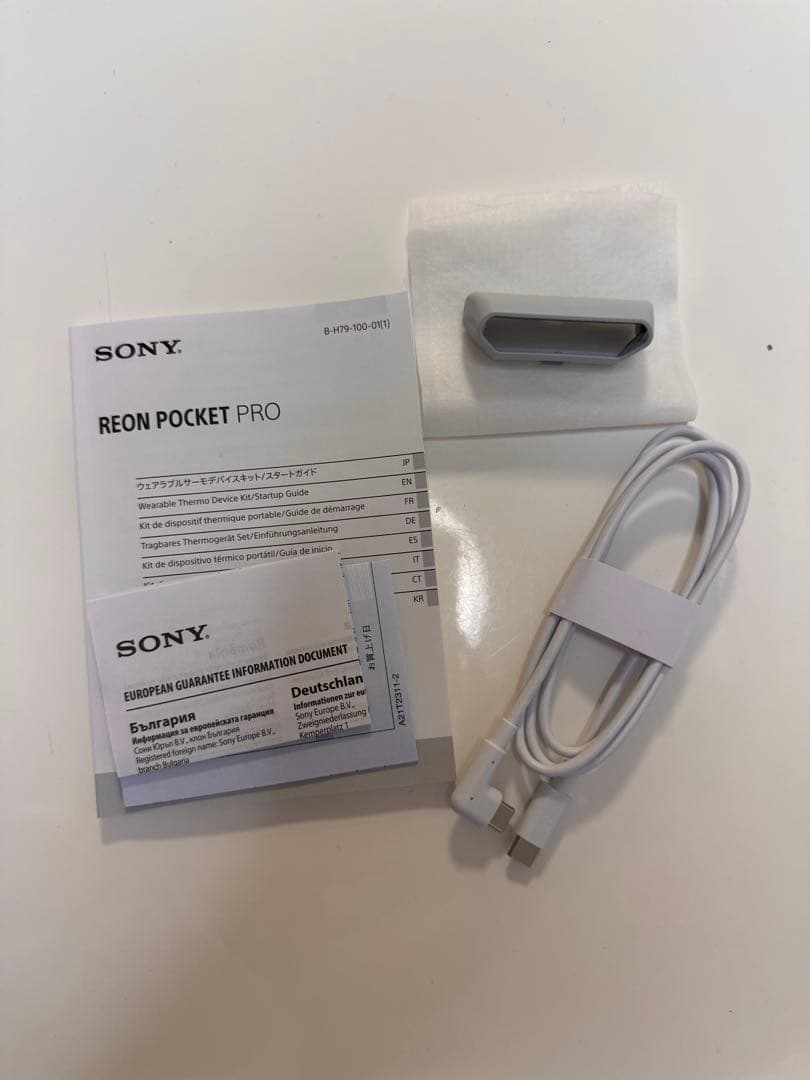 【25年5月発売最新型】SONY REON POCKET PRO