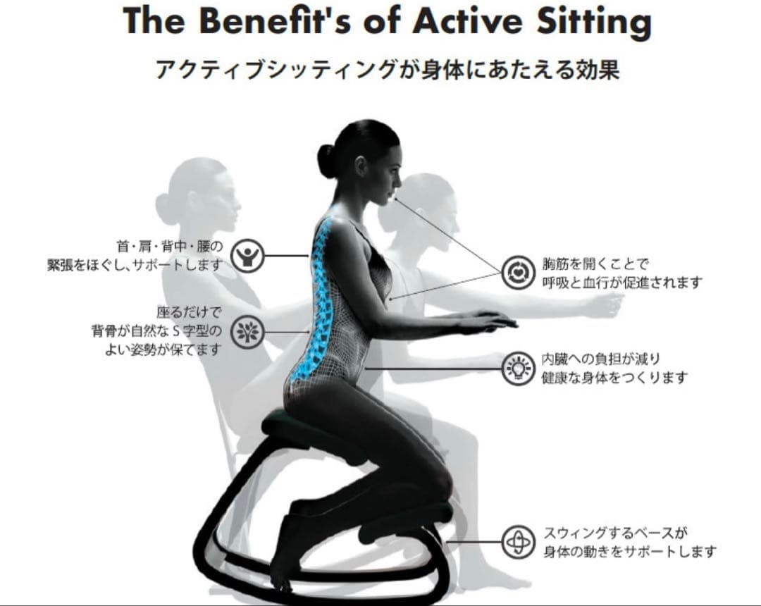 VARIER ヴァリエール VARIABLE 正規品 バランスチェア 北欧 木製