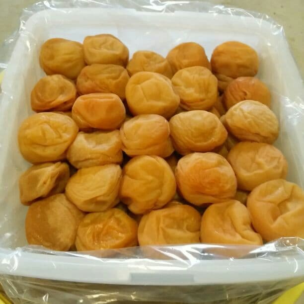 マモルン　梅干し5kg