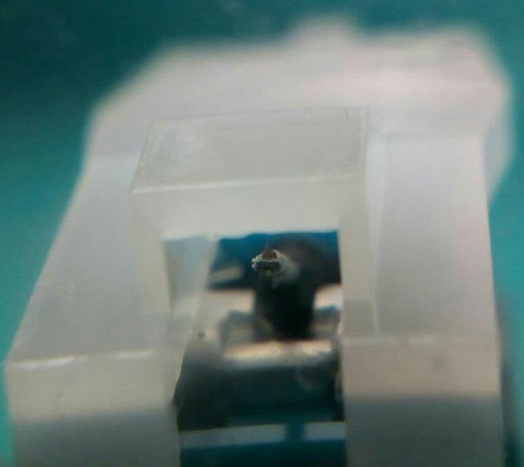 ONKYO OC-201V カートリッジ