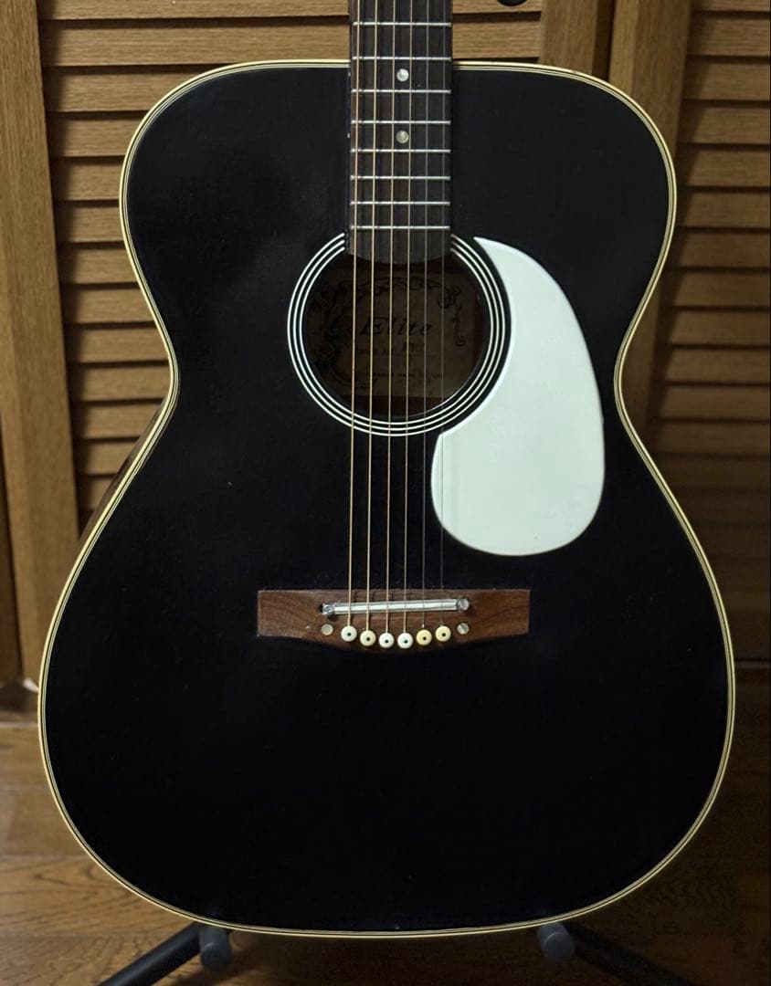 Elite エリート F100 TAKAMINE GAKKI 60年代