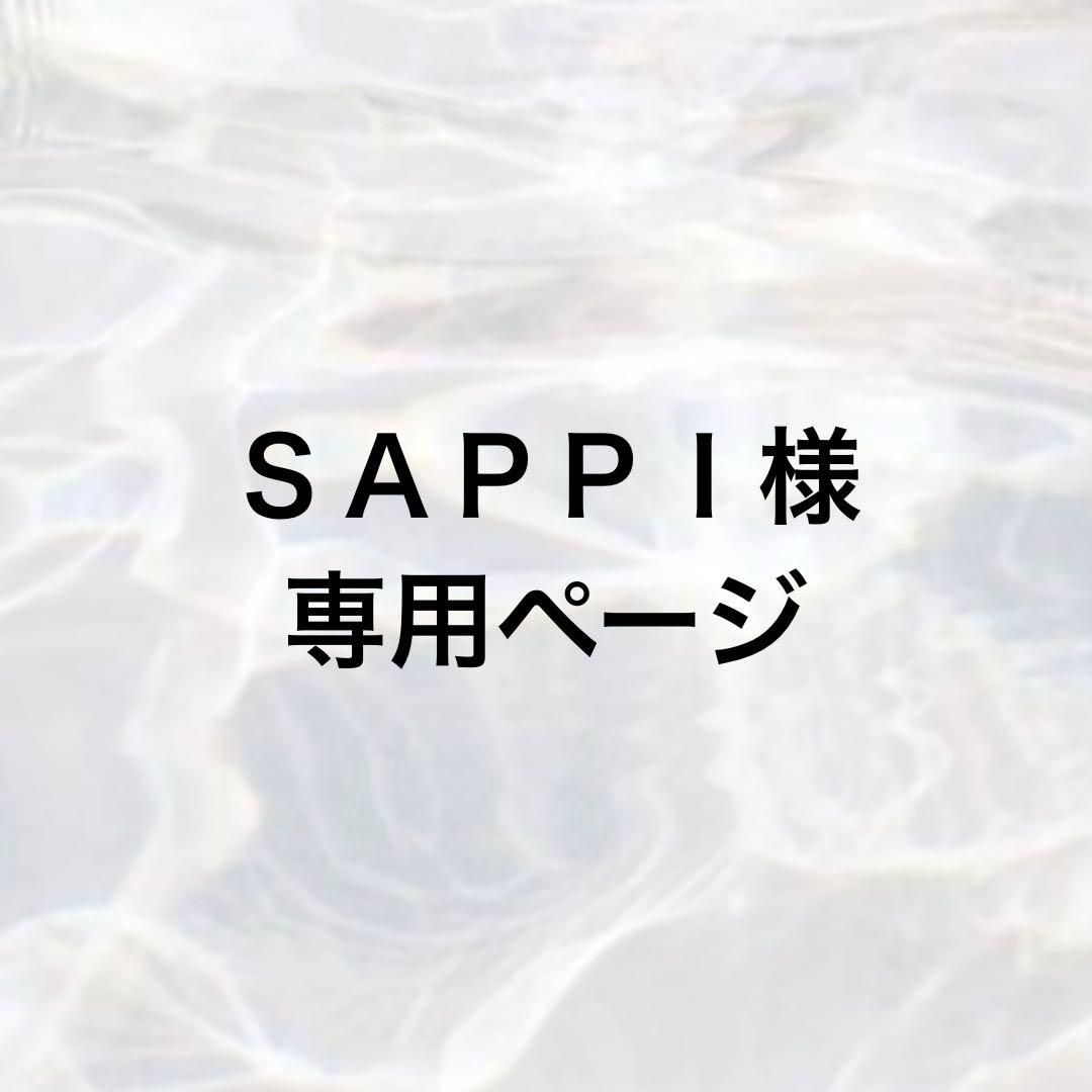 ＳＡＰＰＩページ