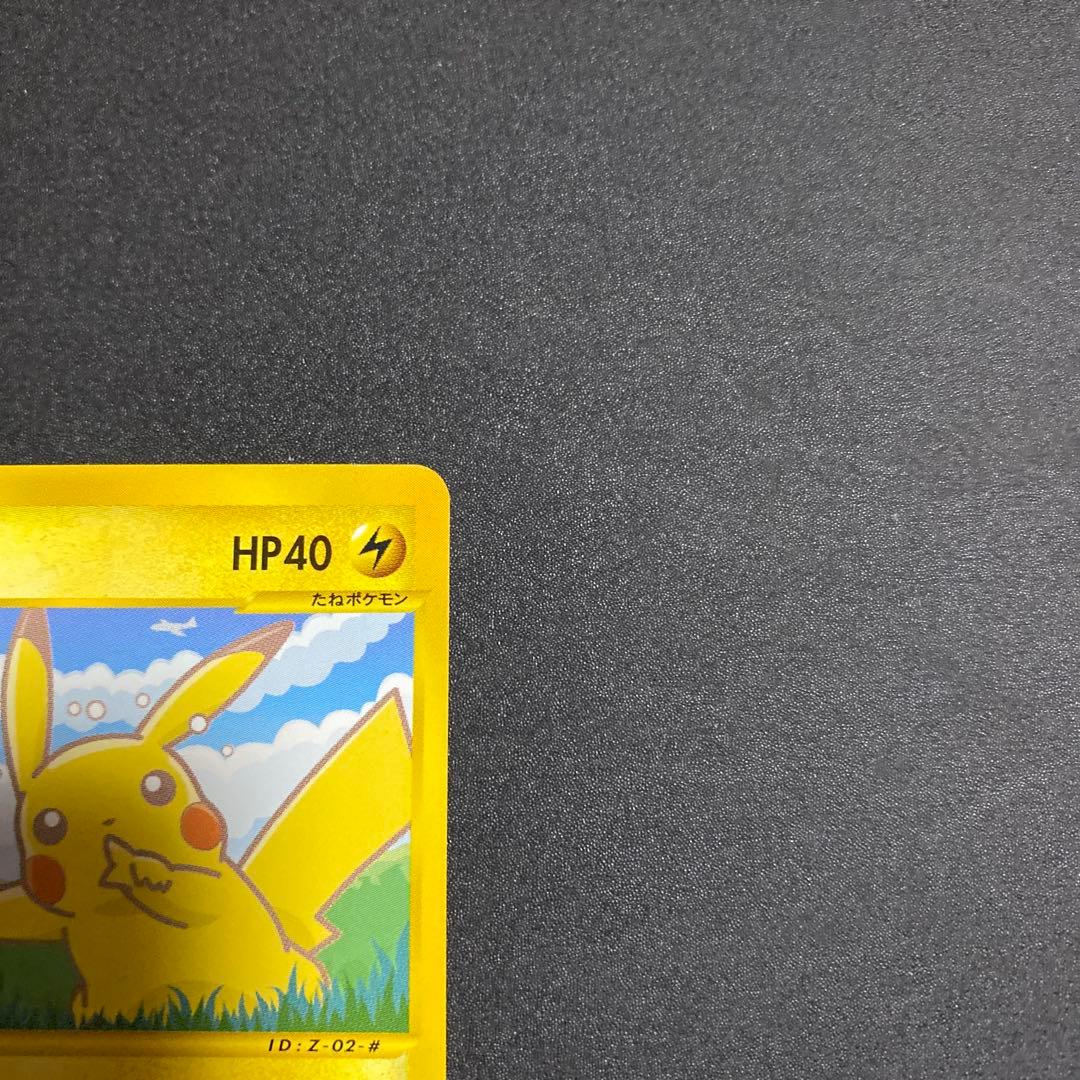 ポケモンカード ピカチュウ ヨーギラス セット