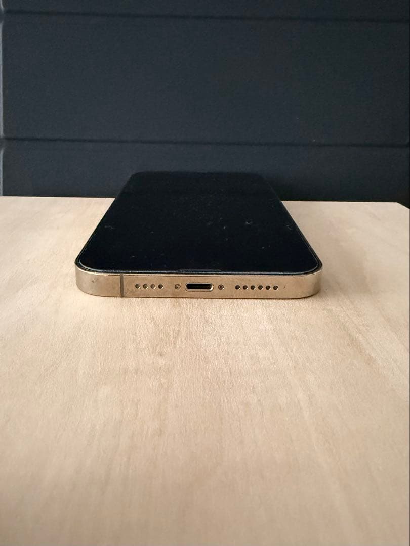 Apple iPhone 13 Pro Max 1TB 本体