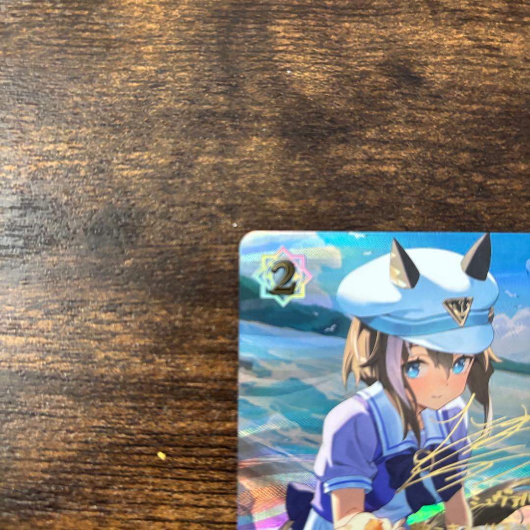 早い者勝ち　シュヴァルグラン SP シャドウバースエボルヴ