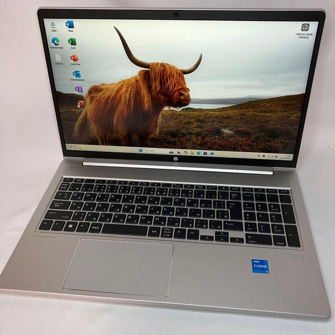 極美品 PROBOOK 450 G10 13世代 i5 16GB SSD FHD