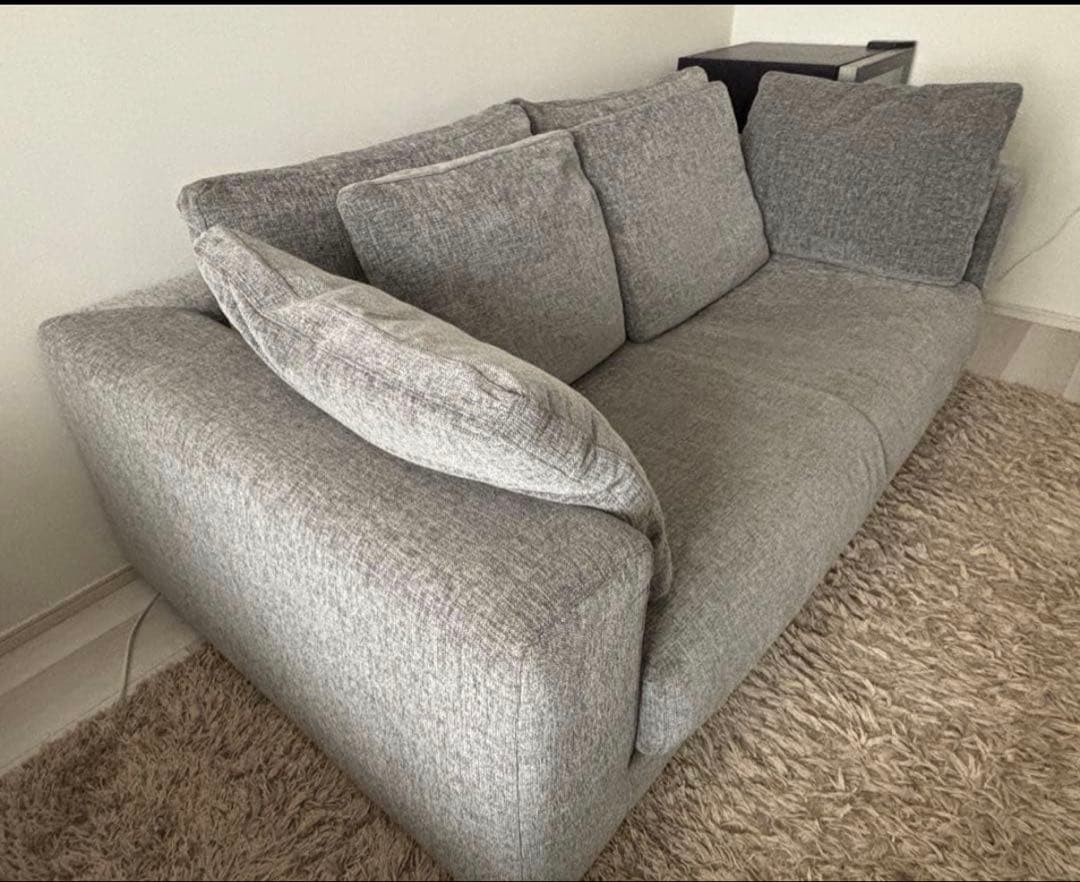 LIVING HOUSE】当時の価格30万・カバリングソファ・羽毛・2.5人用