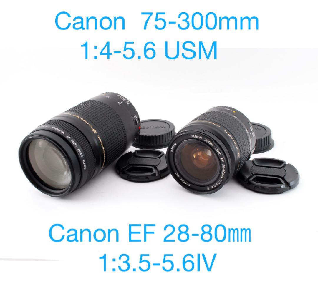 レンズ(ズーム) Canon EF 75-300mm Canon EF 28-80mm