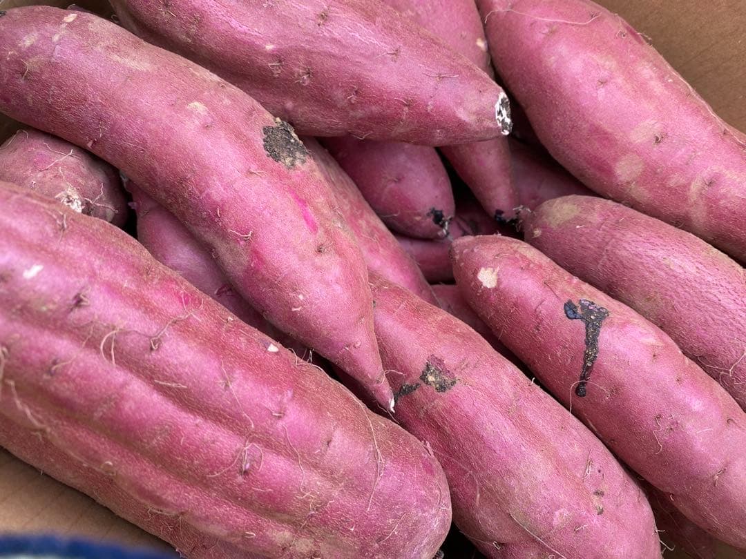 茨城県産紅はるかS40キロ　Rika☆品