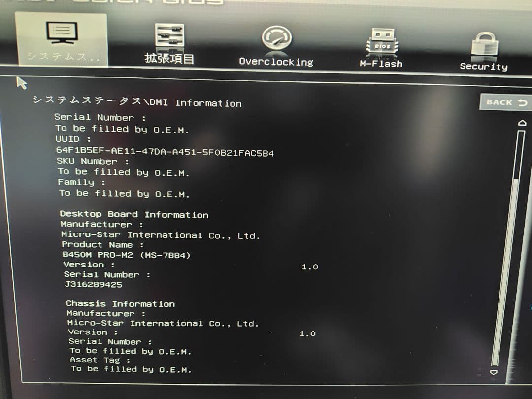 い*む様 ベアボーン（SST-SG11B、B450M、Ryzen5 2400G他