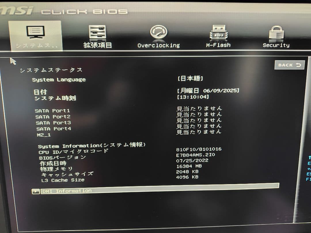 い*む様 ベアボーン（SST-SG11B、B450M、Ryzen5 2400G他