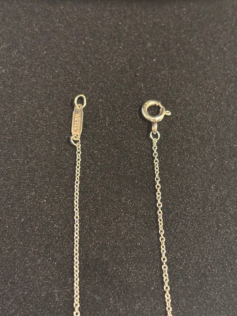 ✨定番✨ティファニー ブルーダブルハート タグ ペンダント