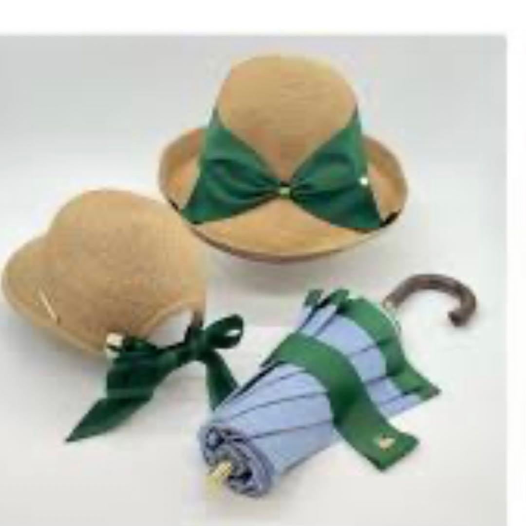 傘 ANY　アシーナニューヨーク完売色　日傘　新品