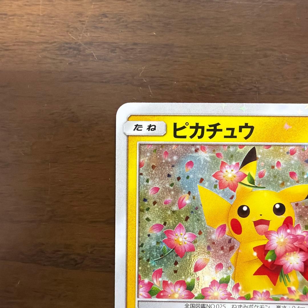 ポケモンカード　ピカチュウ　プロモカード　224/SM-P みんなでいわう