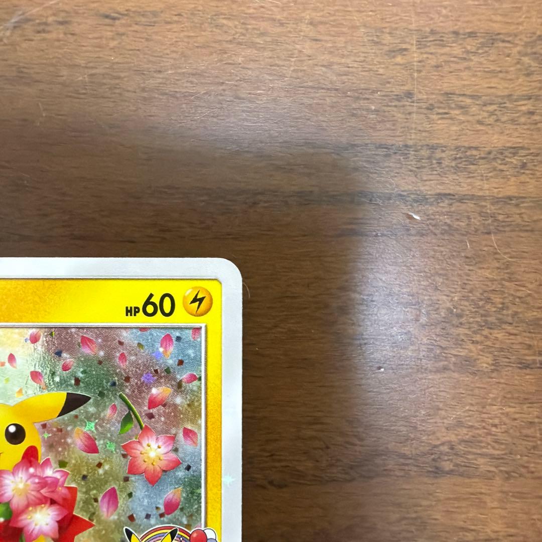 ポケモンカード　ピカチュウ　プロモカード　224/SM-P みんなでいわう