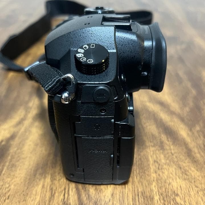 Panasonic LUMIX ミラーレス一眼GH5 レンズ3本 フラッシュ付き