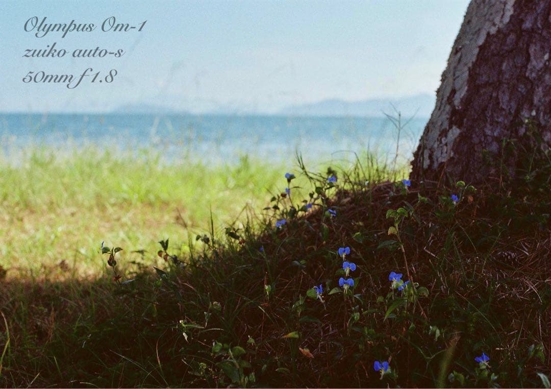 ★超美品＊完動品★OLYMPUS OM-1★初期保証★作例多数！