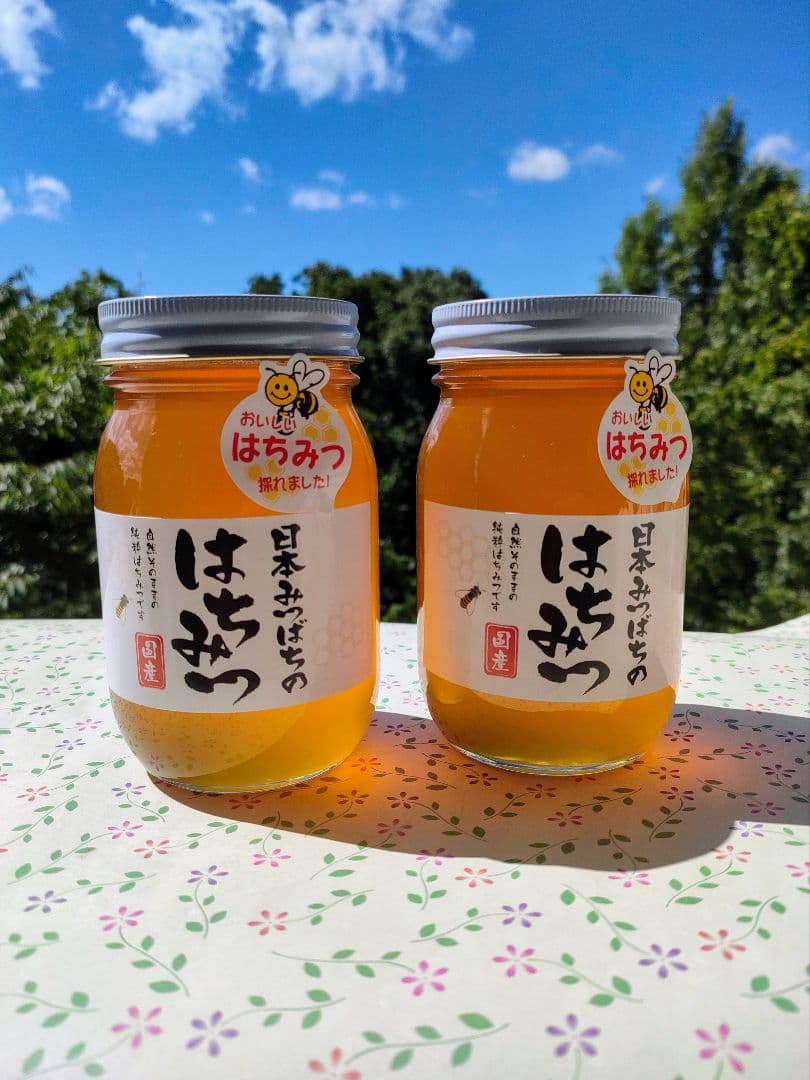 年末特価20%OFF 実容量600g×2瓶　日本ミツバチの蜂蜜