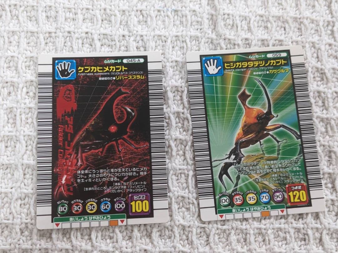 昆虫トレーディングカードセット