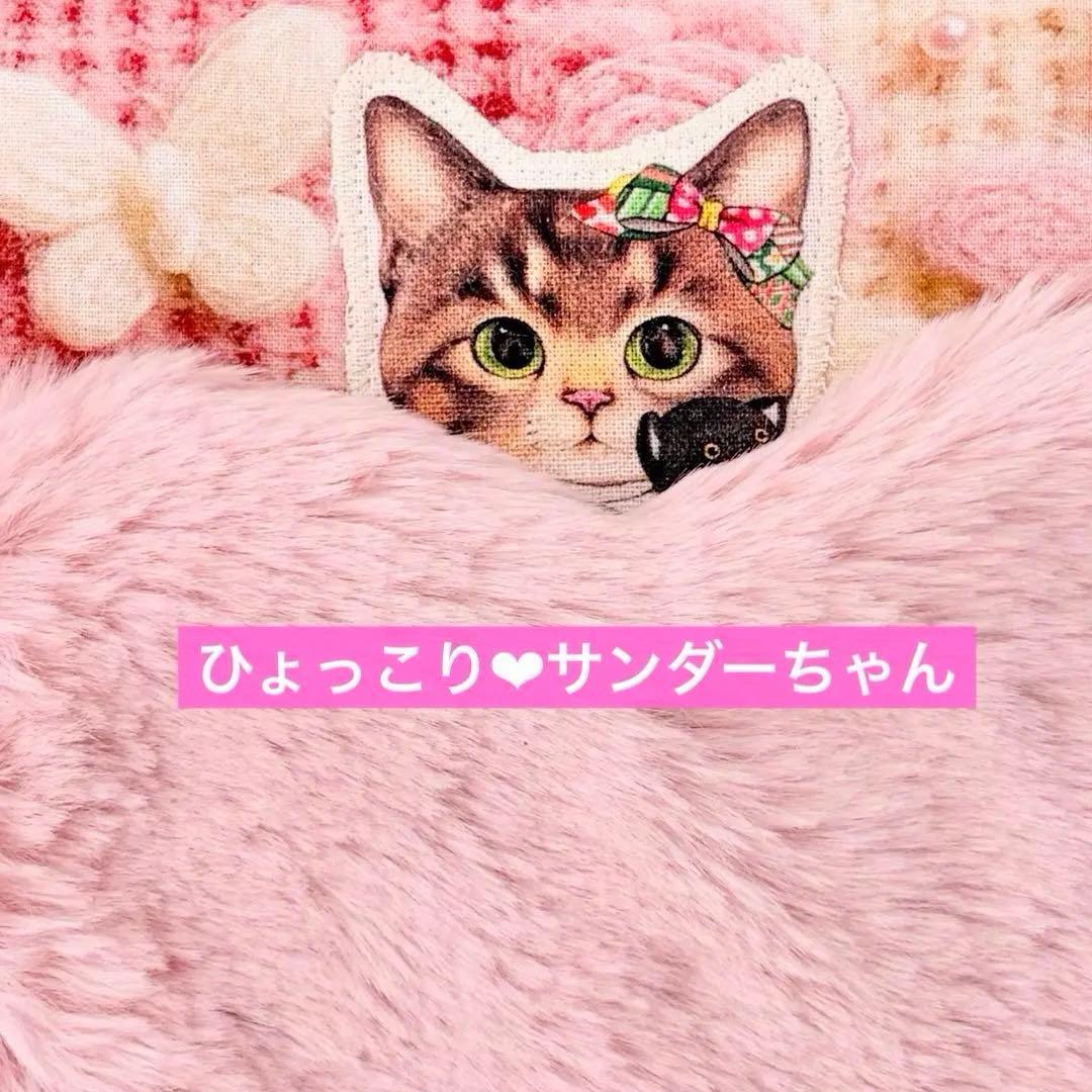 黒*こ様 コヤンイサムチョン♡着ぐるみ♡サンダーちゃん♡ファー♡ラウンドトートバ