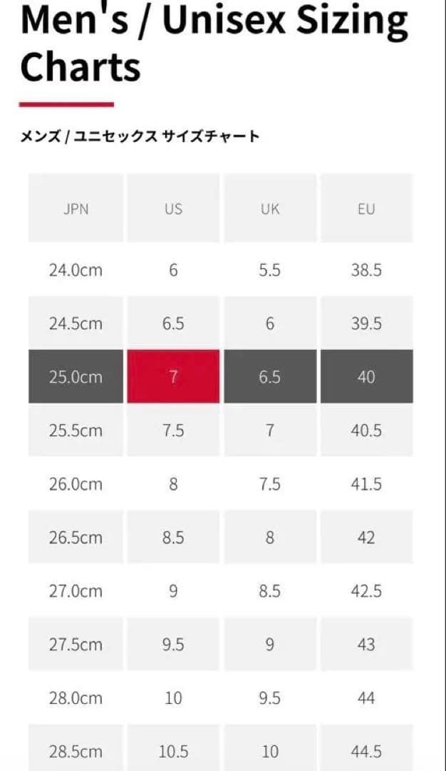 ⭐️タイムセール【安全靴25.0㎝】 ニューバランス スニーカー ベルクロ