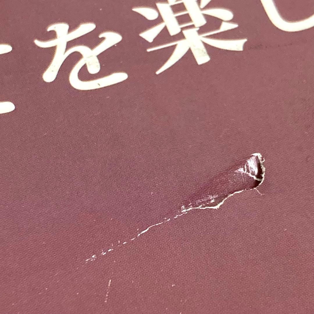 Y589-3 NF-RT800-K けむらん亭 フィッシュロースター