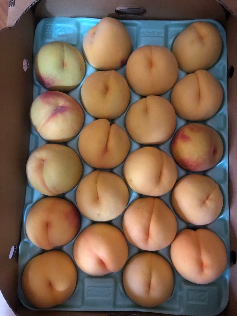 586クール便福島県産朝採り完熟黄金桃15~22玉入り常温便箱込み約5kg家庭用