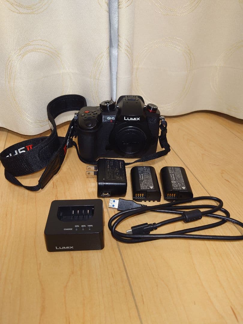 LUMIX GH5 Mark2本体　ショット数8801