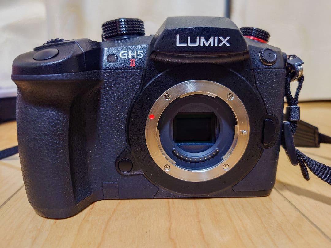 LUMIX GH5 Mark2本体　ショット数8801