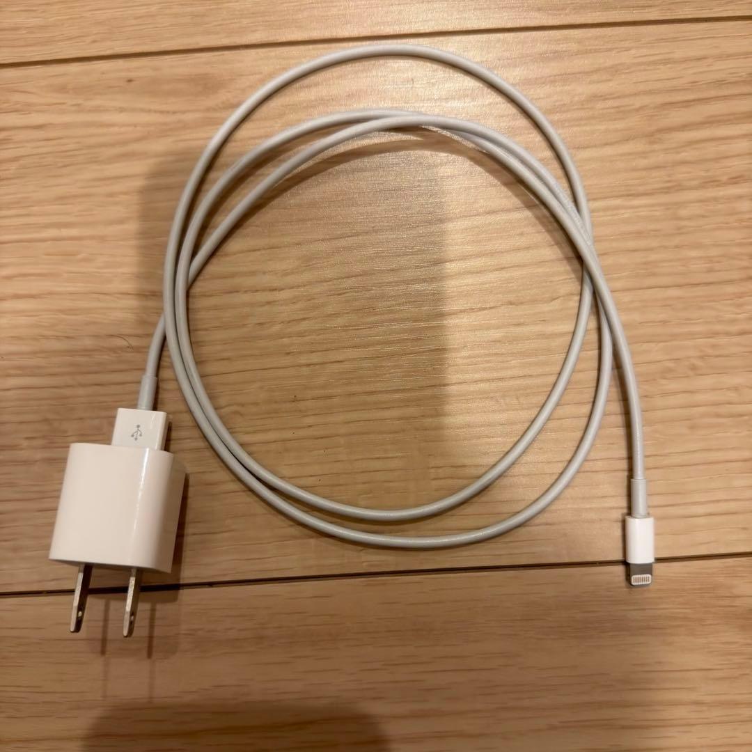Apple Air Pods Pro MagSafe アップル エアーポッズ